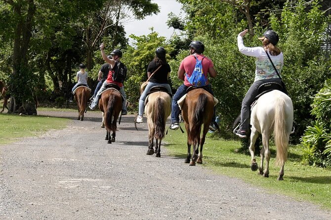 Horseback Riding Tour in Carolina - The Sum Up