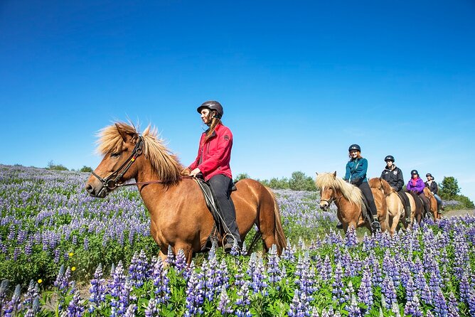 Horseback Riding Tour in Iceland - Important Note