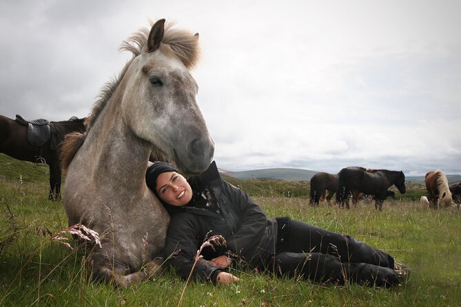 Horseback Riding Tour in Iceland - Common Questions