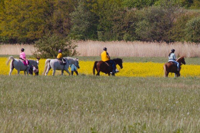 Horseback Riding Tour in Prague - Tour Schedule