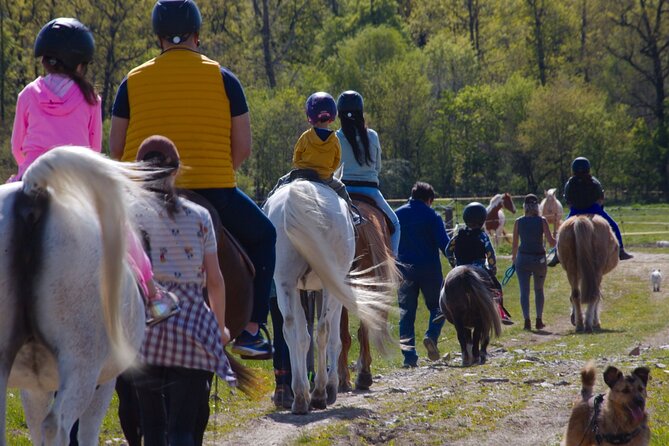 Horseback Riding Tour in Prague - Operator Information