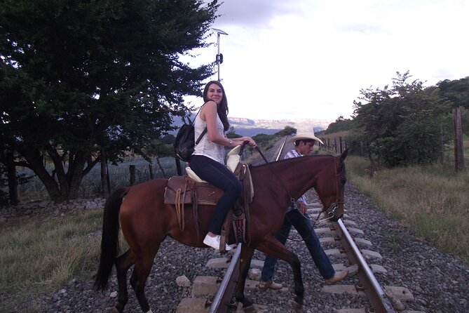 Horseback Riding Tour in the Agave Field With Lunch - Tour Highlights