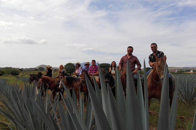 Horseback Riding Tour in the Agave Field With Lunch - Horseback Riding in the Agave Field