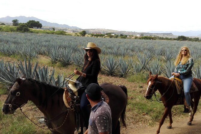 Horseback Riding Tour in the Agave Field With Lunch - Tequila Distillery Visit and Tasting