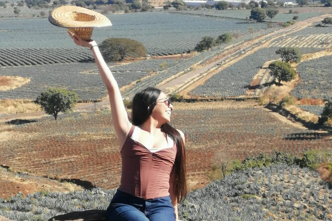 Horseback Riding Tour in the Agave Field With Lunch - Pricing and Booking Information