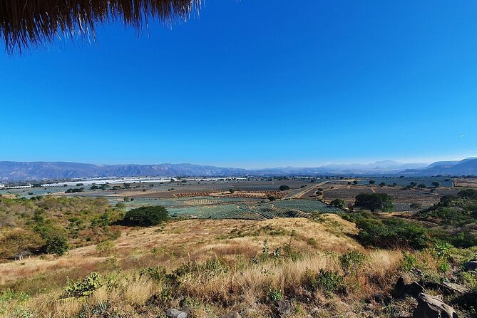 Horseback Riding Tour in the Agave Field With Lunch - Common Questions