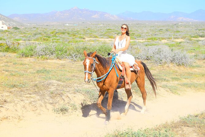 Horseback Riding Tour Los Cabos - Tour Details