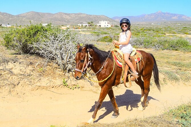 Horseback Riding Tour Los Cabos - Pickup and Transportation
