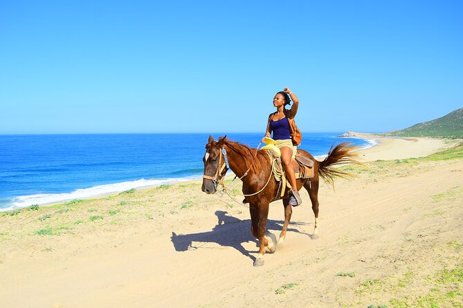Horseback Riding Tour Los Cabos - Tour Requirements and Accessibility