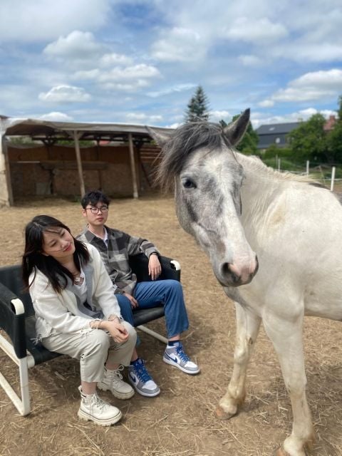 Horseback Riding Tour Near Prague - Experience Highlights