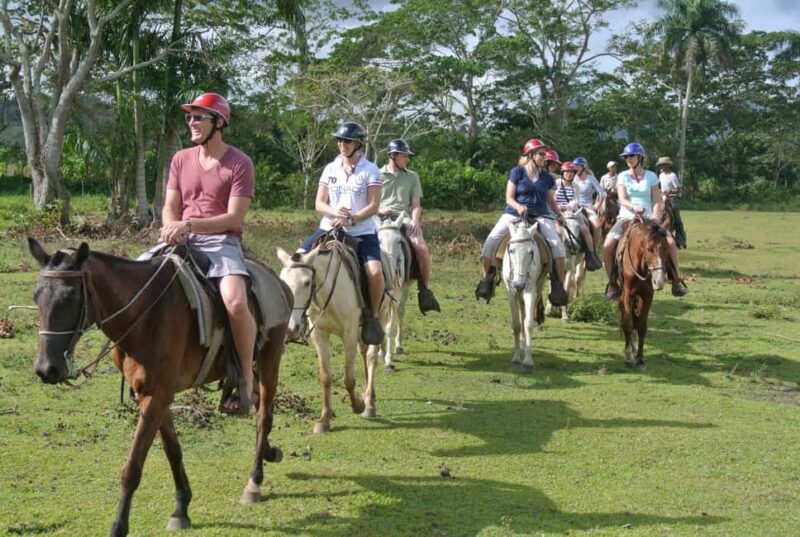 Horseback Riding Tour of Punta Cana - Horseback Riding Tour of Punta Cana: A Practical and Authentic Caribbean Adventure
