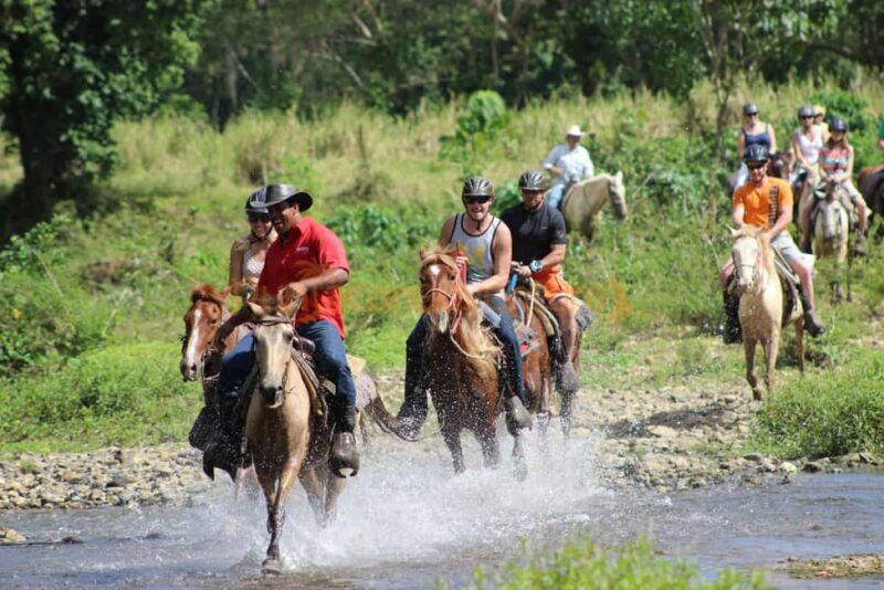Horseback Riding Tour of Punta Cana - Good To Know