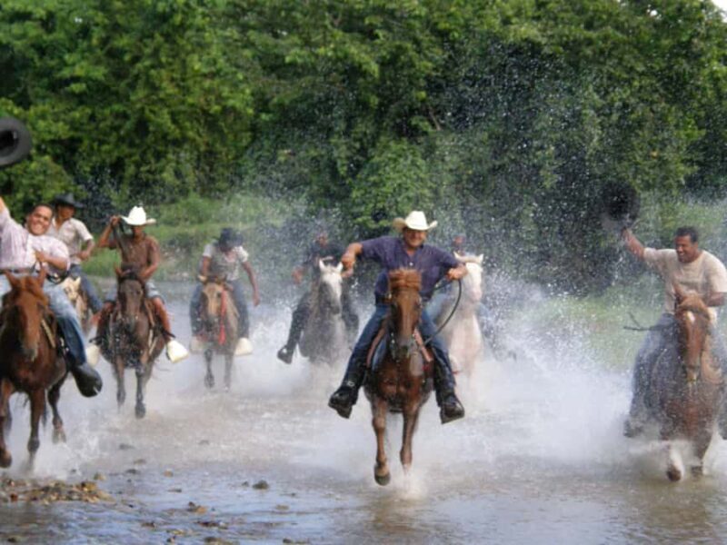 Horseback Riding Tour of Punta Cana - What to Expect When Booking