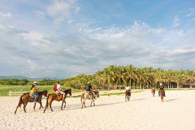 Horseback Riding Tour on the Beach in Puerto Escondido - Practical Details and Considerations