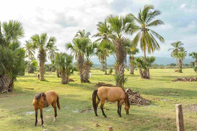 Horseback Riding Tour on the Beach in Puerto Escondido - Who Will Love This Tour?