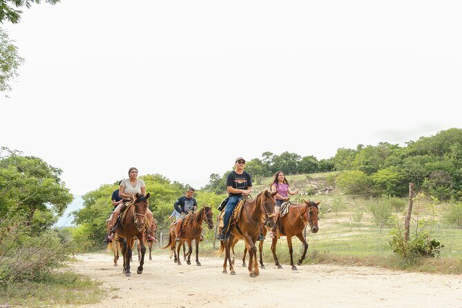 Horseback Riding Tour on the Beach in Puerto Escondido - FAQ