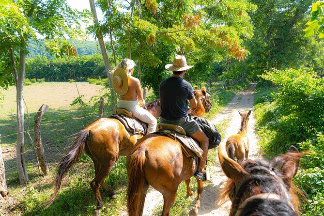 Horseback Riding Tour to the Hot Springs in Puerto Escondido - Good To Know