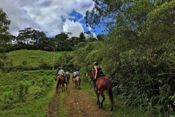 Horseback Riding Tour to Waterfall and Mountain From Medellin - Medellín - What to Bring