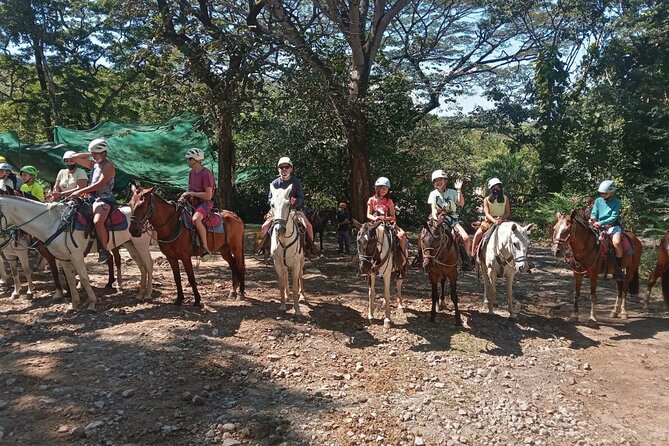 Horseback Riding Tours on the Beach, Mountain - Benefits of Horseback Riding Tours