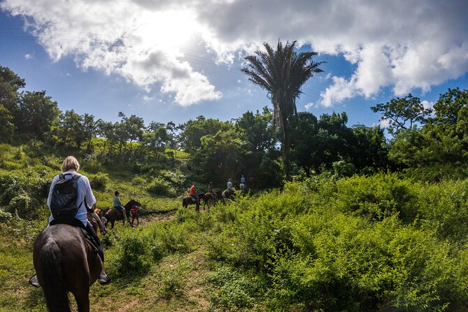 Horseback Riding Trail Tour, Roatan Letters and Ocean in Flowers Bay - Tour Pricing and Booking Details