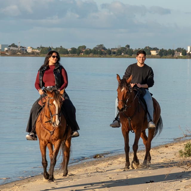 Horseback Riding Trough The Beach GROUP - PDT - The Value of the Experience