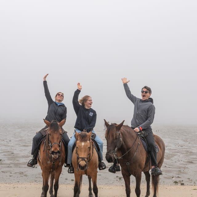 Horseback Riding Trough The Beach GROUP - PDT - A Close Look at the Itinerary