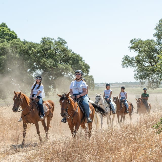 Horseback Riding Trough The Beach GROUP - PDT - Why This Tour Stands Out