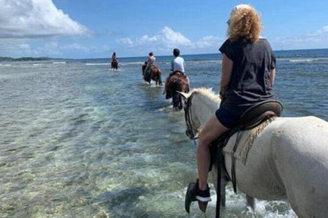 Horseback Riding trough The Countryside & Beach at Puerto Plata - FAQ