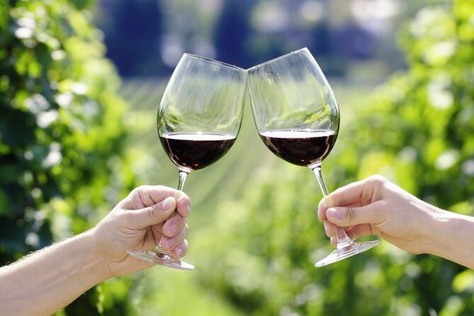 Horseback Riding Wine Tour From Florence - Horseback Riding in Tuscan Countryside