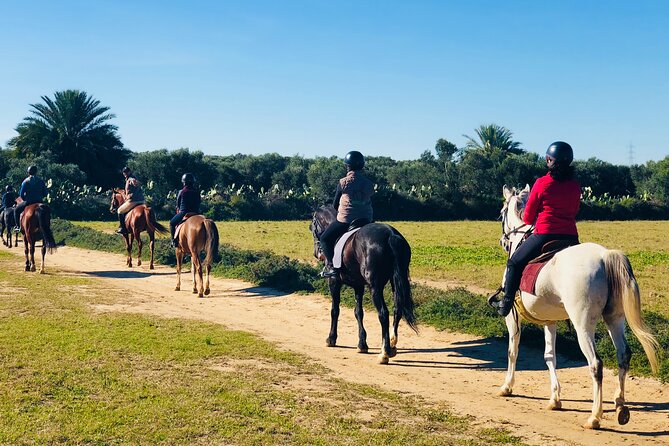 Horseback Riding With Private Transfer - Pickup and Drop-off Details