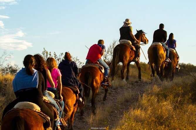 Horseback Riding With Traditional Asado and Wine From Mendoza - Inclusions and Additional Info
