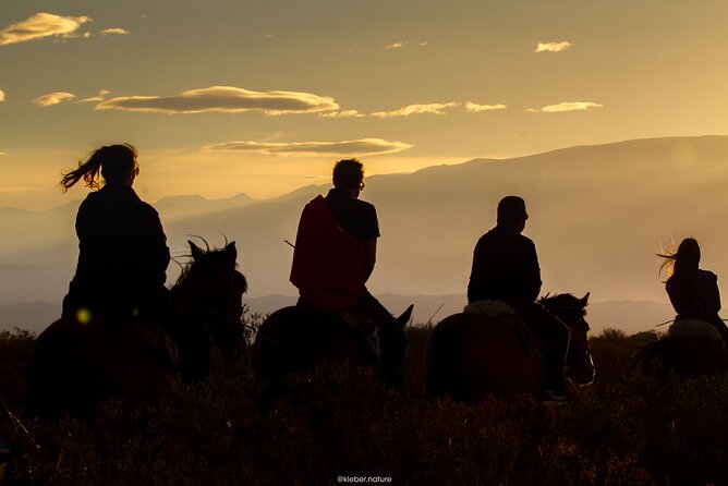 Horseback Riding With Traditional Asado and Wine From Mendoza - Traveler Reviews