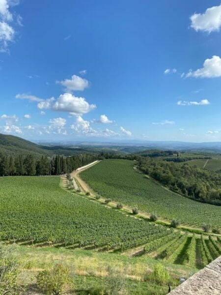 Horseback Riding With Wine Tour From Florence - What to Bring