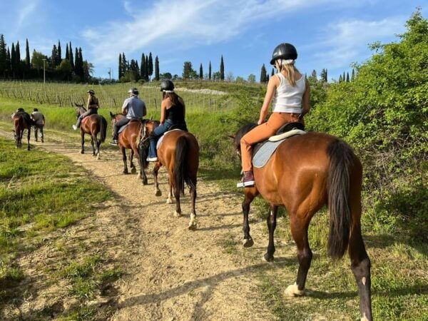 Horseback Riding With Wine Tour From Florence - Weather Policy