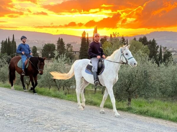 Horseback Riding With Wine Tour From Florence - Booking Information