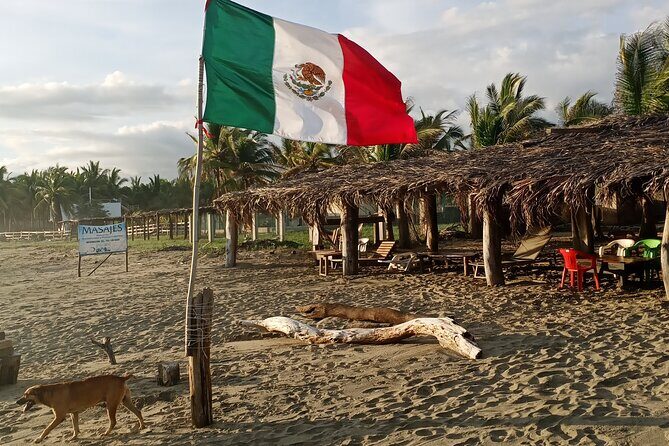 Horseback Riding Zihuatanejo - Who Will Enjoy This Tour?