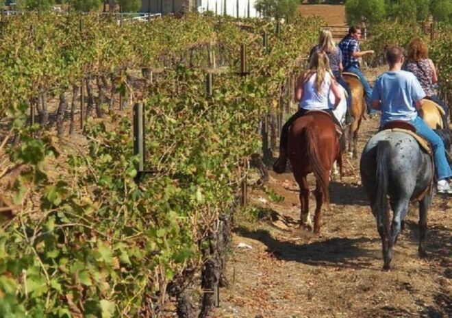 Horseback Ridings & Wine Tastings in San Gimignano - Scenic Routes and Views