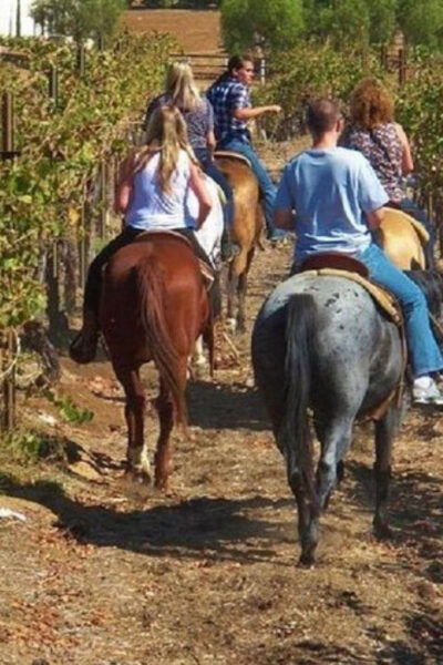 Horseback Ridings & Wine Tastings in San Gimignano - Frequently Asked Questions