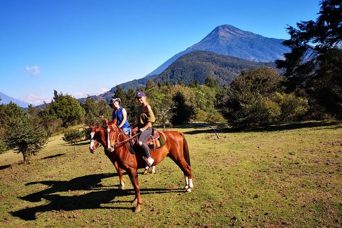 Horseback Trail Ride & Heritage Ranch Visit, Antigua - Booking Details