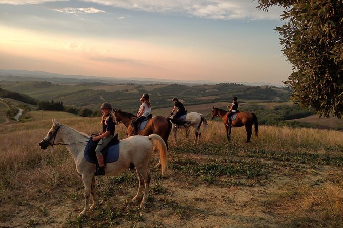 Horsebackriding - Explore Tuscan Nature - Pricing and Policies