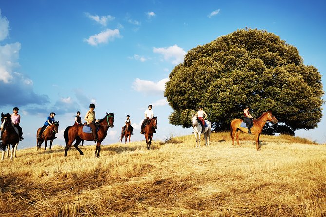 Horsebackriding - Explore Tuscan Nature - Customer Reviews
