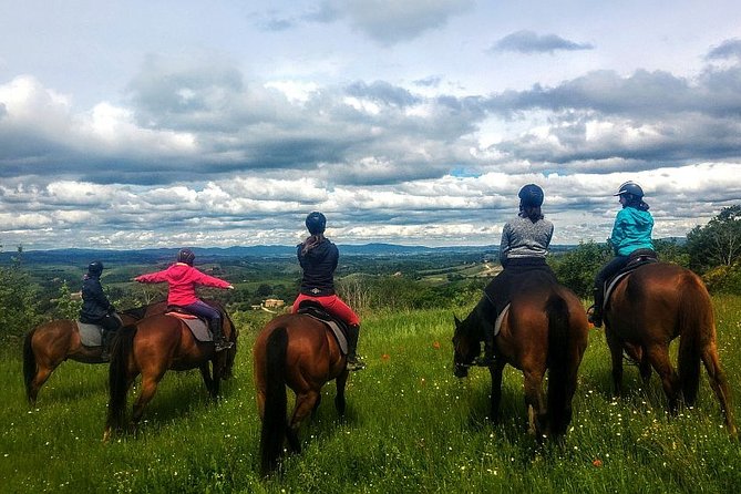 Horsebackriding - Explore Tuscan Nature - Additional Information