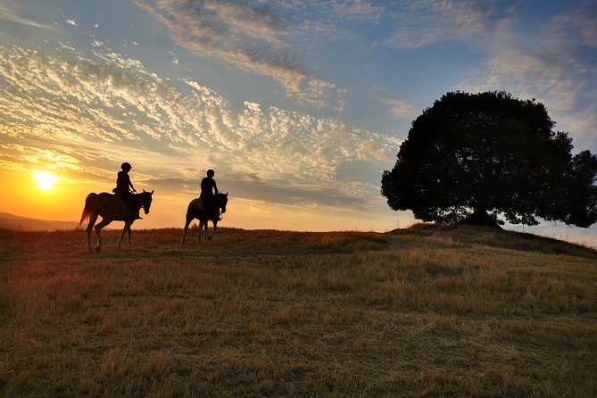 Horsebackriding - Explore Tuscan Nature - Frequently Asked Questions