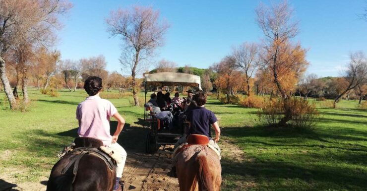 Horseride Three Hours for National Park and Village of Rocio - Activity Details and Booking