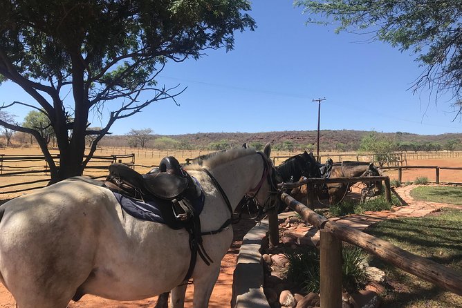 Horseriding Safari Day Tour From Johannesburg - Additional Resources and Contact Information