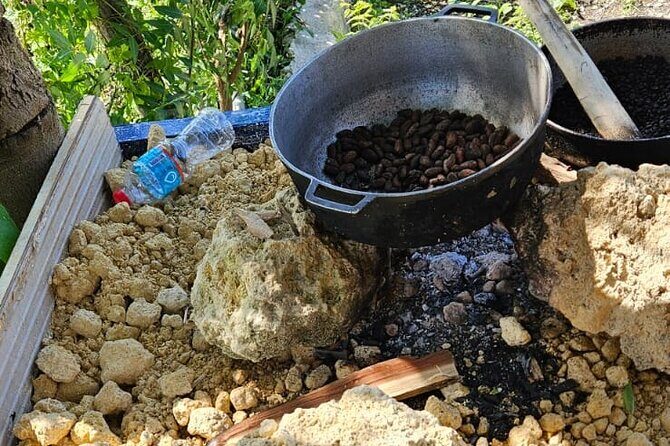 Horses, Buggy, and plantation in Chocaci Ranch - Authenticity & Guest Experiences