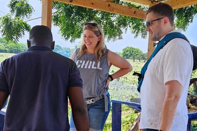 Horses, Buggy, and plantation in Chocaci Ranch - The Sum Up