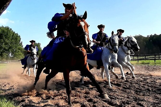 Horseshow on the Hungarian Puszta, Private Tour From Budapest With Entry! - Pricing and Reviews