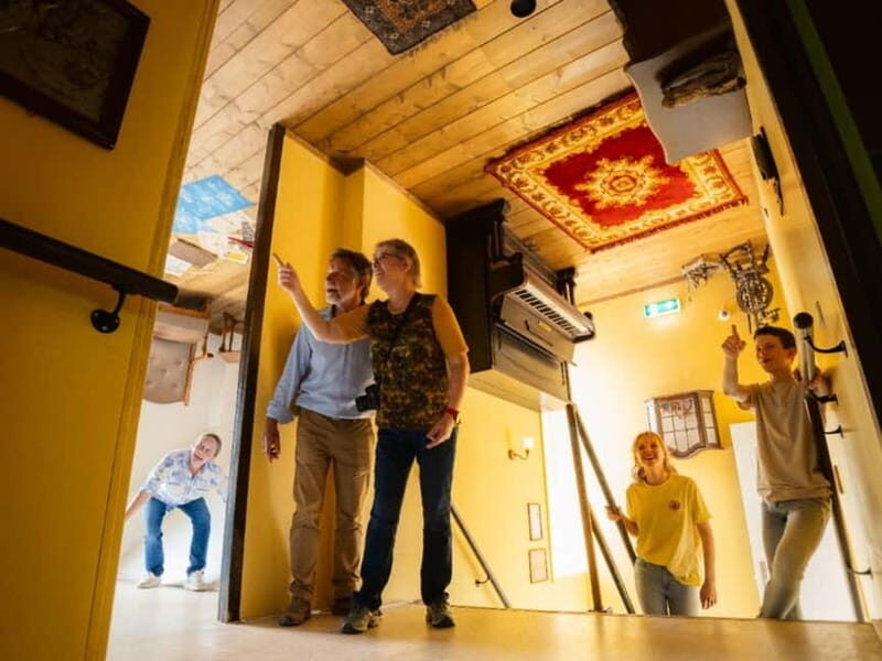 Horst: Mind Mystery Optical Illusion Experience Entry Ticket - Who Will Love It?