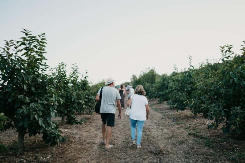 Hort de Sa Vall: Guided tour of the crops and outdoor dinner - The Sum Up